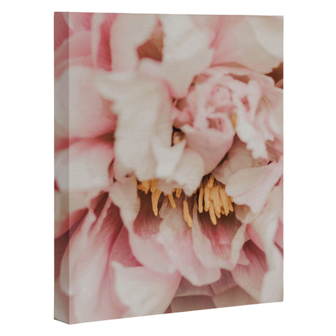Ingrid Beddoes Blush Pink Peony Art Canvas