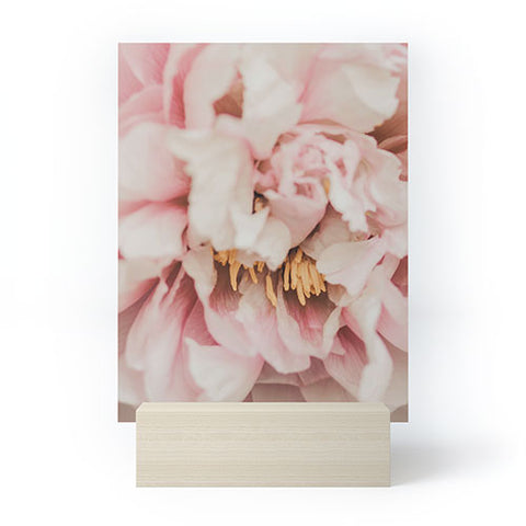 Ingrid Beddoes Blush Pink Peony Mini Art Print