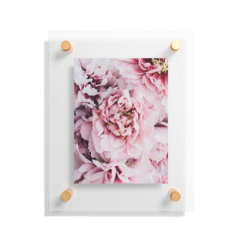 Ingrid Beddoes Blushing Pink Peonies Floating Acrylic Print