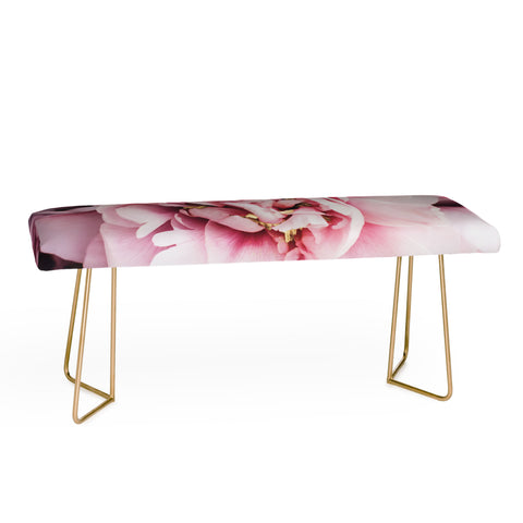 Ingrid Beddoes Blushing Pink Peonies Bench