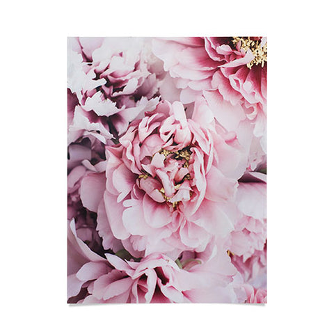 Ingrid Beddoes Blushing Pink Peonies Poster