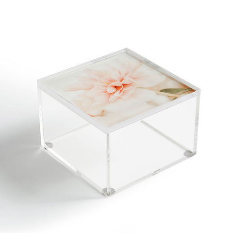 Ingrid Beddoes Burnt Orange Peony Acrylic Box