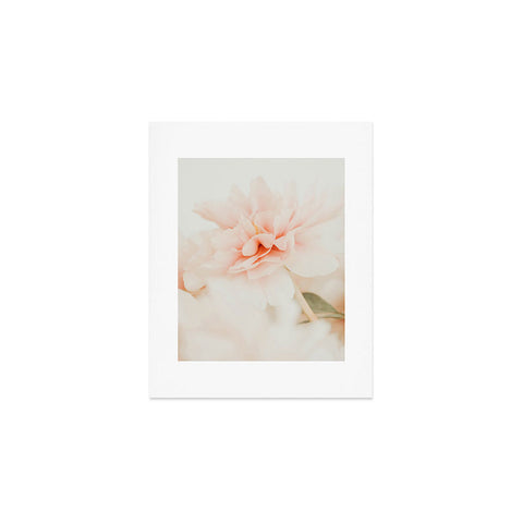 Ingrid Beddoes Burnt Orange Peony Art Print