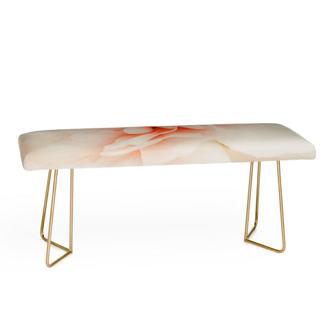 Ingrid Beddoes Burnt Orange Peony Bench