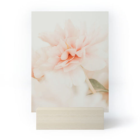 Ingrid Beddoes Burnt Orange Peony Mini Art Print