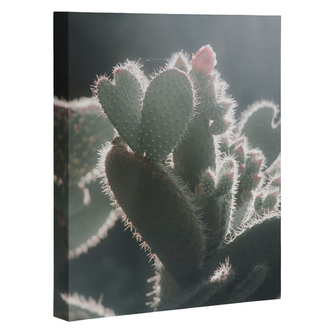 Ingrid Beddoes cactus love Art Canvas