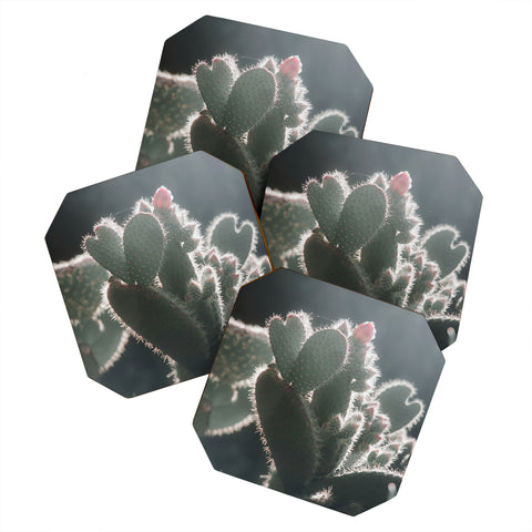 Ingrid Beddoes cactus love Coaster Set