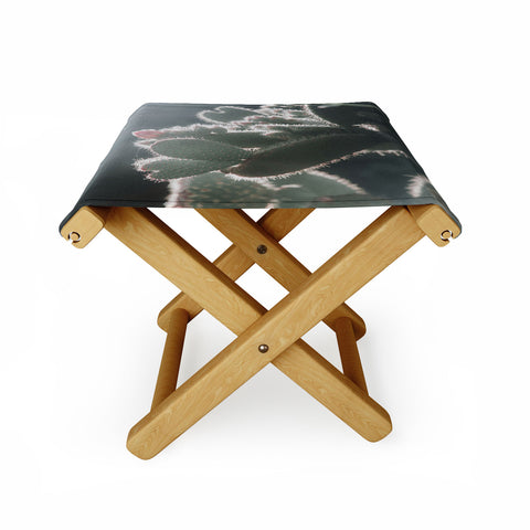 Ingrid Beddoes cactus love Folding Stool