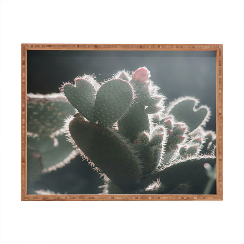 Ingrid Beddoes cactus love Rectangular Tray