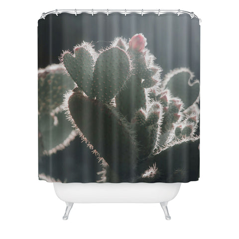 Ingrid Beddoes cactus love Shower Curtain