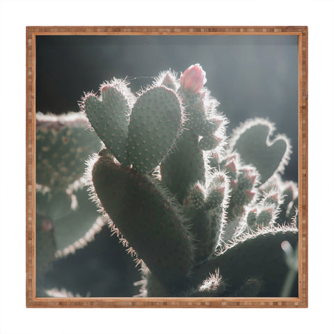 Ingrid Beddoes cactus love Square Tray
