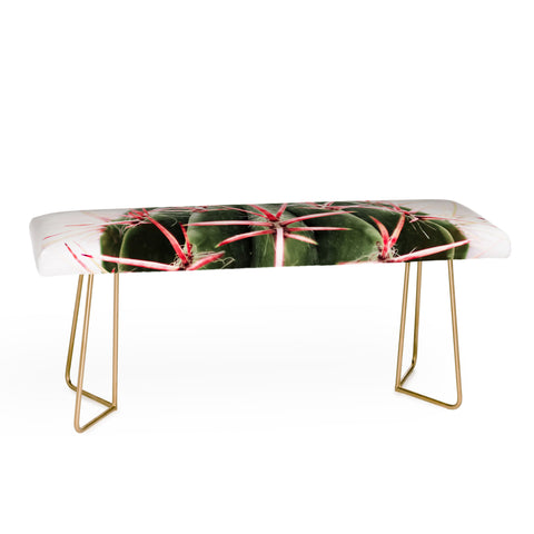 Ingrid Beddoes cactus red Bench