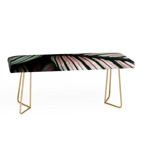 Ingrid Beddoes Calathea Abstract Bench