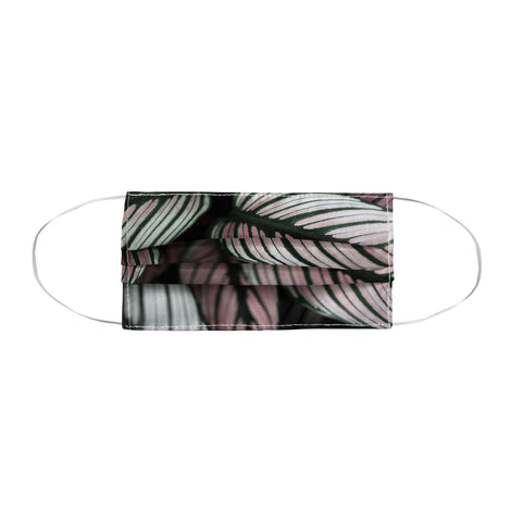Ingrid Beddoes Calathea Abstract Face Mask