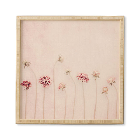Ingrid Beddoes Cameo Pink Framed Wall Art
