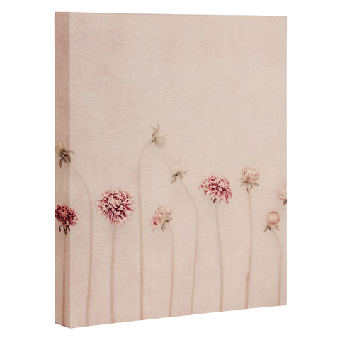 Ingrid Beddoes Cameo Pink Art Canvas
