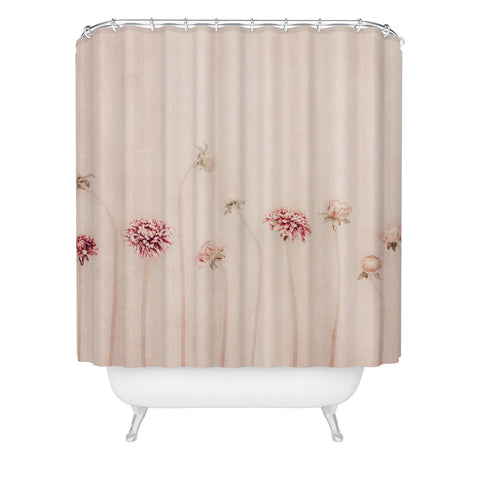 Ingrid Beddoes Cameo Pink Shower Curtain