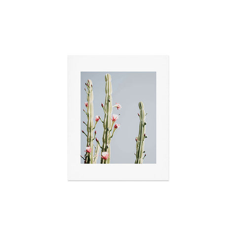 Ingrid Beddoes Cereus Cactus Blush Desert Cactus Art Print