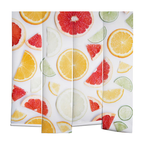 Ingrid Beddoes citrus fresh Wall Mural