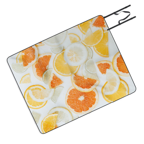 Ingrid Beddoes citrus orange twist Picnic Blanket