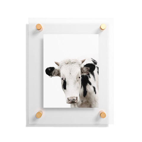 Ingrid Beddoes Domino Floating Acrylic Print