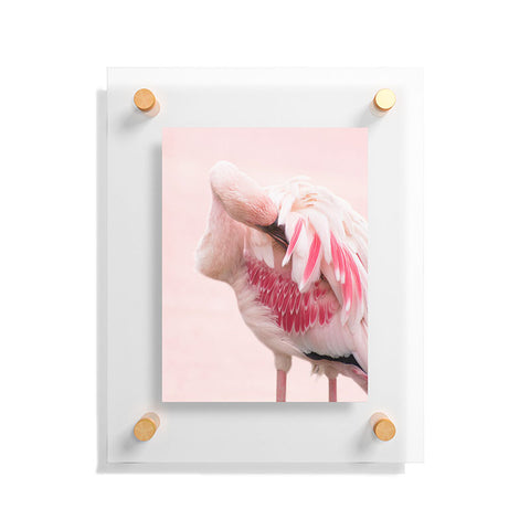 Ingrid Beddoes flamingo love Floating Acrylic Print