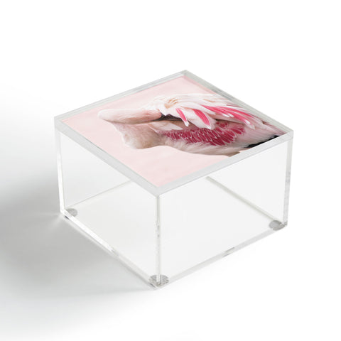 Ingrid Beddoes flamingo love Acrylic Box