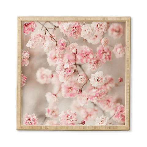 Ingrid Beddoes Gypsophila pink blush Framed Wall Art