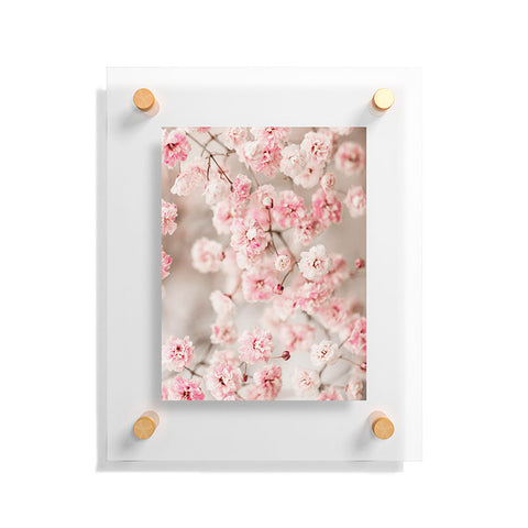 Ingrid Beddoes Gypsophila pink blush Floating Acrylic Print