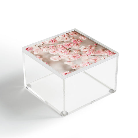 Ingrid Beddoes Gypsophila pink blush Acrylic Box