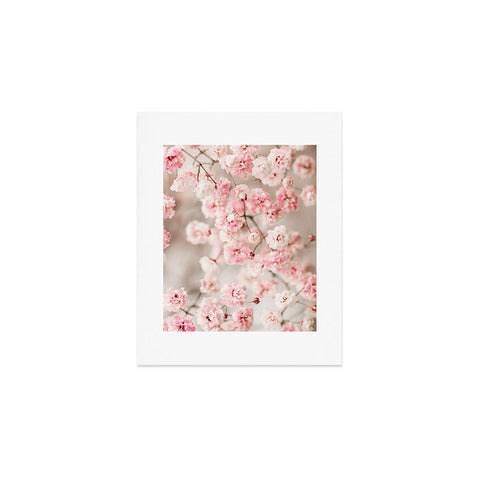 Ingrid Beddoes Gypsophila pink blush Art Print