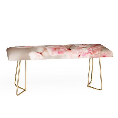 Ingrid Beddoes Gypsophila pink blush Bench
