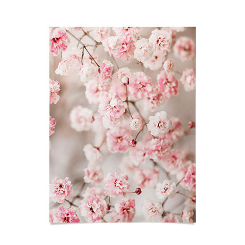 Ingrid Beddoes Gypsophila pink blush Poster