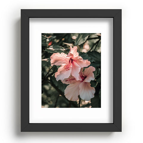 Ingrid Beddoes Hibiscus Flowers Recessed Framing Rectangle