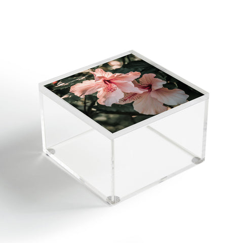 Ingrid Beddoes Hibiscus Flowers Acrylic Box