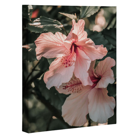 Ingrid Beddoes Hibiscus Flowers Art Canvas