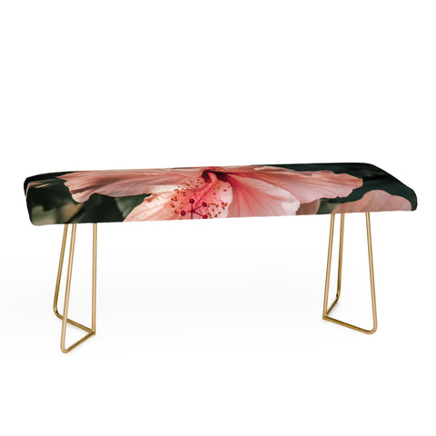 Ingrid Beddoes Hibiscus Flowers Bench