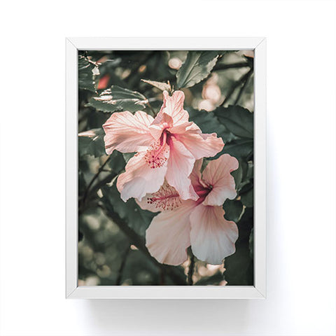 Ingrid Beddoes Hibiscus Flowers Framed Mini Art Print