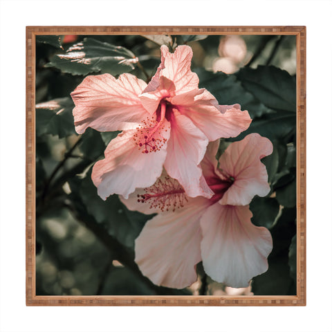 Ingrid Beddoes Hibiscus Flowers Square Tray