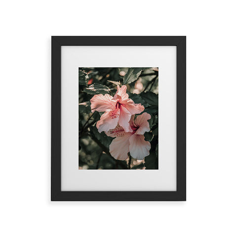 Ingrid Beddoes Hibiscus Flowers Framed Art Print