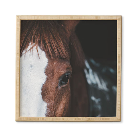 Ingrid Beddoes horse cheyenne Framed Wall Art