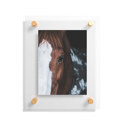 Ingrid Beddoes horse cheyenne Floating Acrylic Print
