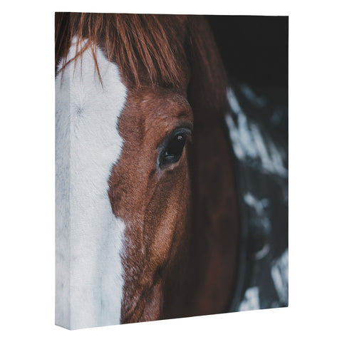 Ingrid Beddoes horse cheyenne Art Canvas