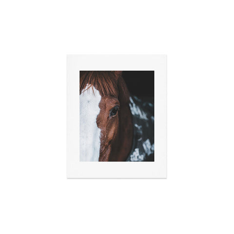 Ingrid Beddoes horse cheyenne Art Print