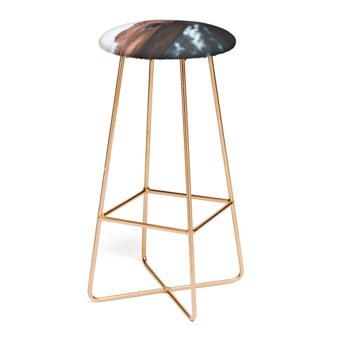 Ingrid Beddoes horse cheyenne Bar Stool