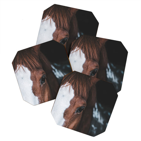 Ingrid Beddoes horse cheyenne Coaster Set