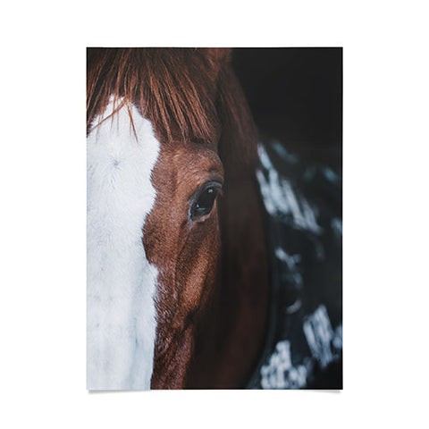 Ingrid Beddoes horse cheyenne Poster