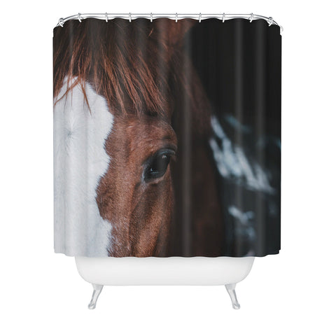 Ingrid Beddoes horse cheyenne Shower Curtain