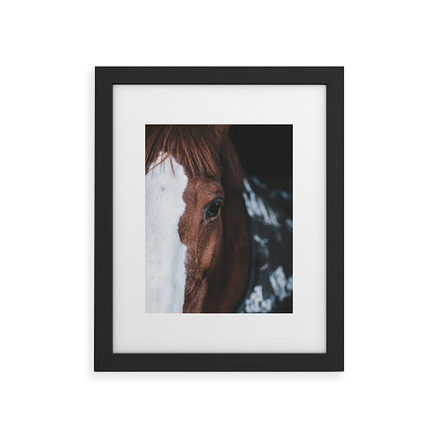 Ingrid Beddoes horse cheyenne Framed Art Print