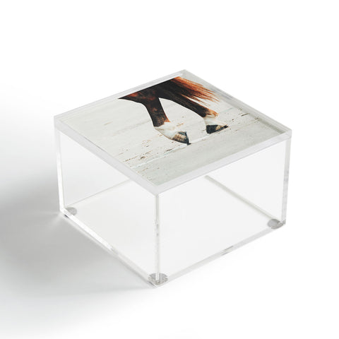 Ingrid Beddoes horse tango Acrylic Box